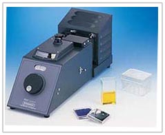 > </div>
<div class=